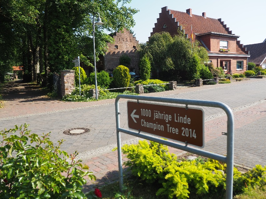 Schild Champion Tree Strasse 850